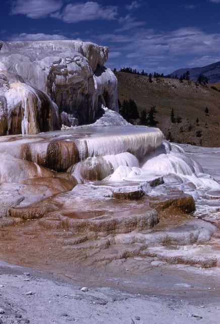 Minerva Terrace & Spring - Mammoth Hot Springs Picture