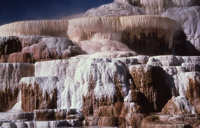 Minerva Terrace & Spring - Mammoth Hot Springs Picture