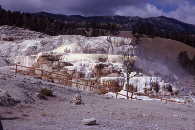 Minerva Terrace & Spring - Mammoth Hot Springs Picture