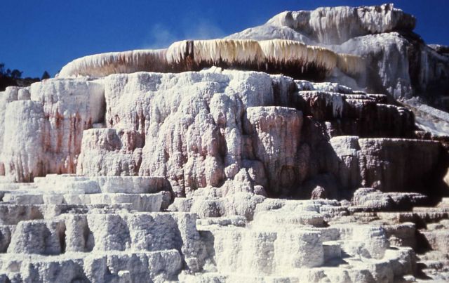 Minerva Terrace & Spring - Mammoth Hot Springs Picture