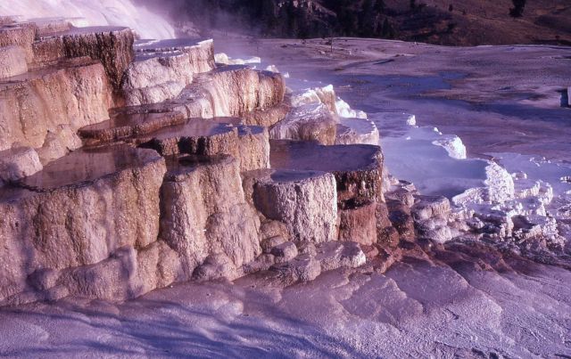 Minerva Terrace & Spring - Mammoth Hot Springs Picture