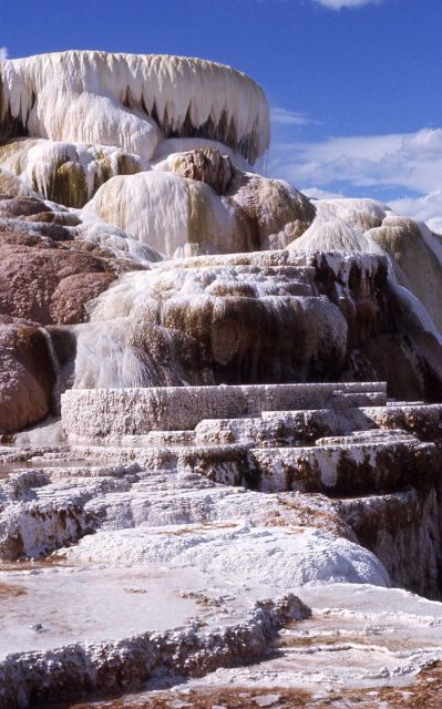 Minerva Terrace & Spring - Mammoth Hot Springs Picture