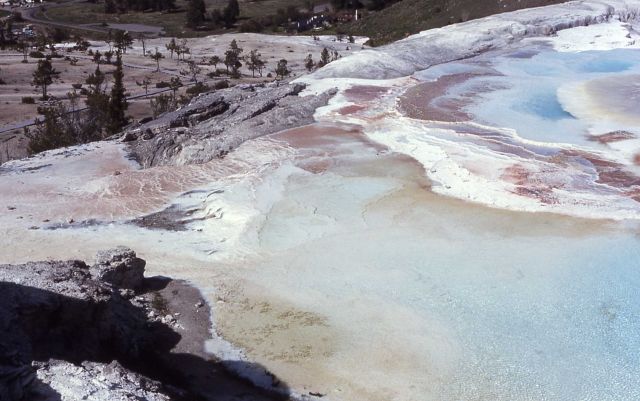 New Blue Spring - Mammoth Hot Springs Picture