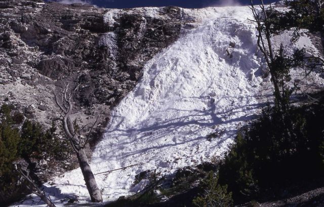 New Blue Spring - Mammoth Hot Springs Picture