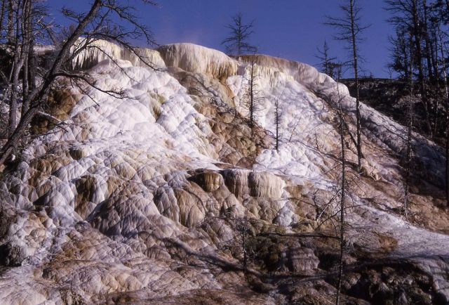 New Highland Terrace - Mammoth Hot Springs Picture