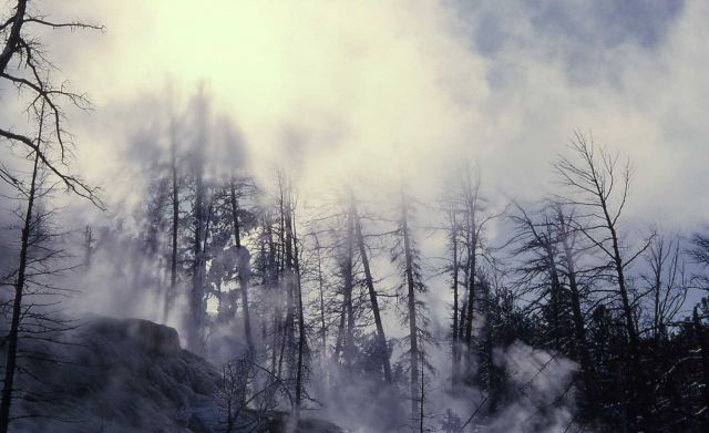 New Highland Terrace - Mammoth Hot Springs Picture