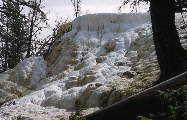 New Highland Terrace - Mammoth Hot Springs Picture