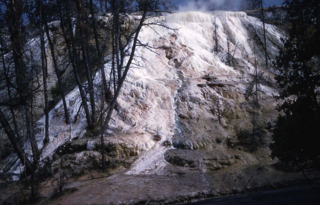 New Highland Terrace - Mammoth Hot Springs Picture