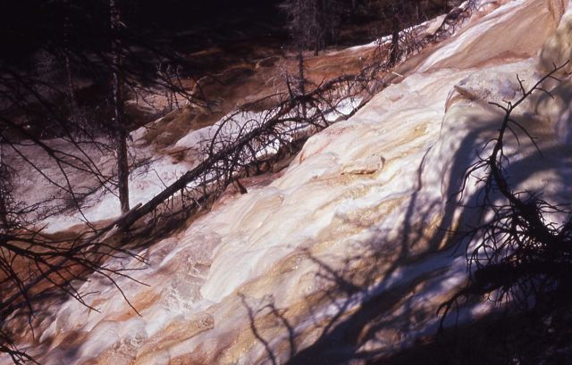 New Highland Terrace - Mammoth Hot Springs Picture