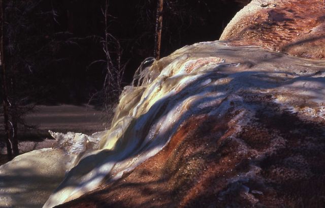 New Highland Terrace - Mammoth Hot Springs Picture