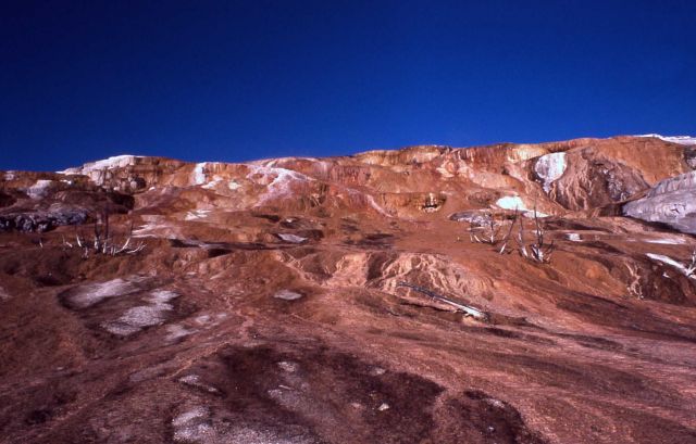 Jupiter Springs Terrace - Mammoth Hot Springs Picture