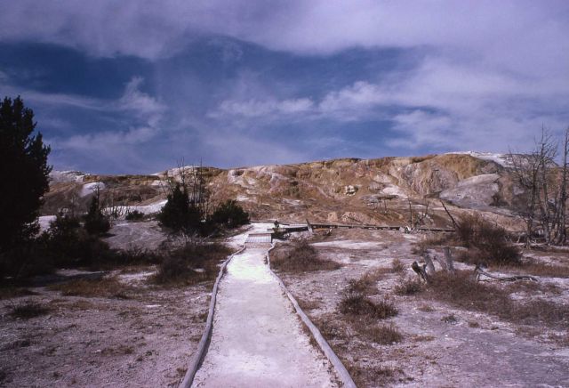 Jupiter Springs Terrace - Mammoth Hot Springs Picture