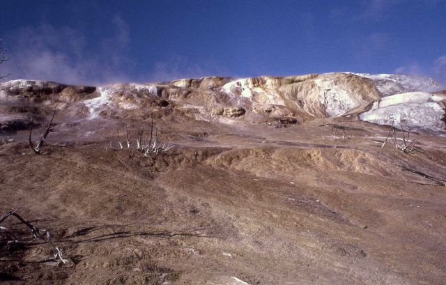 Jupiter Springs Terrace - Mammoth Hot Springs Picture