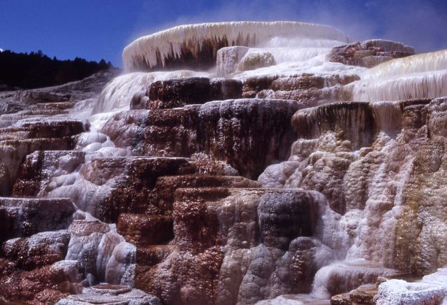Minerva Springs & Terrace - Mammoth Hot Springs Picture