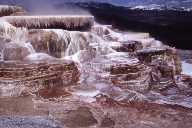 Minerva Springs & Terrace - Mammoth Hot Springs Picture