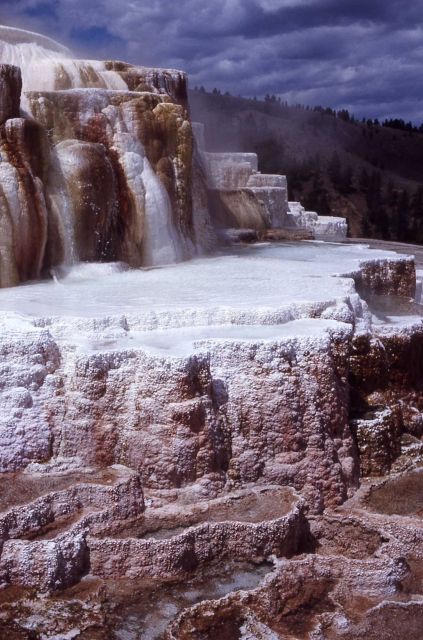 Minerva Springs & Terrace - Mammoth Hot Springs Picture