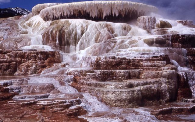 Minerva Springs & Terrace - Mammoth Hot Springs Picture