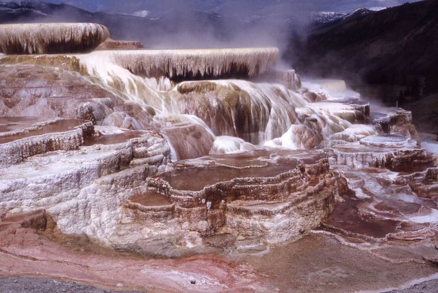 Minerva Springs & Terrace - Mammoth Hot Springs Picture
