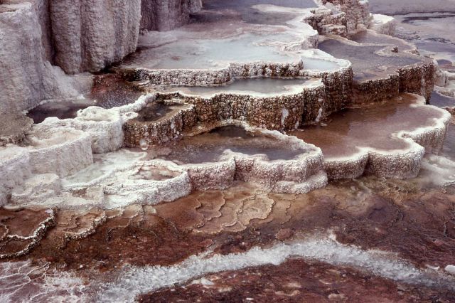 Minerva Springs & Terrace - Mammoth Hot Springs Picture