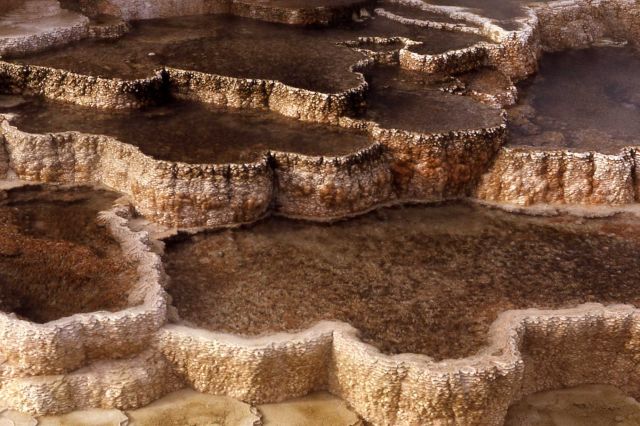 Minerva Springs & Terrace - Mammoth Hot Springs Picture