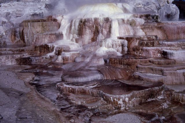 Minerva Springs & Terrace - Mammoth Hot Springs Picture