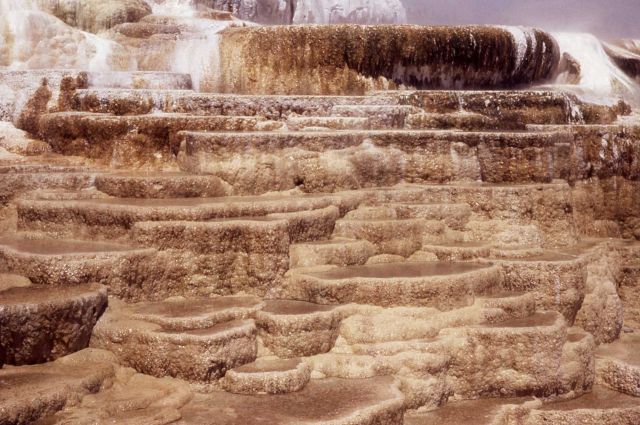 Minerva Springs & Terrace - Mammoth Hot Springs Picture