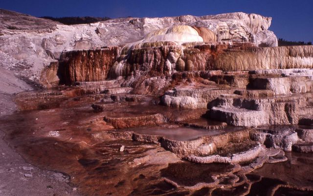 Minerva Springs & Terrace - Mammoth Hot Springs Picture