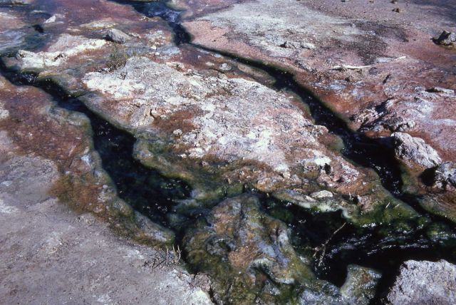 Reservoir Spring - Mammoth Hot Springs Picture
