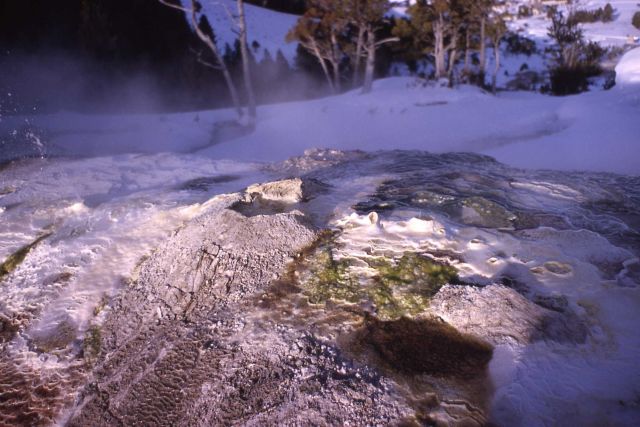 Narrow Gauge - Mammoth Hot Springs Picture