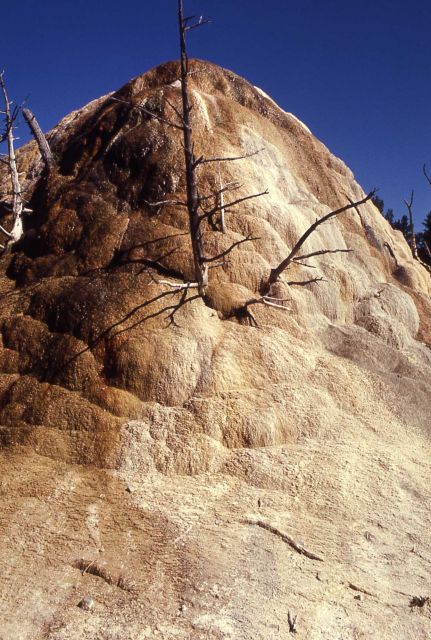 Orange Spring Mound - Mammoth Hot Springs Picture