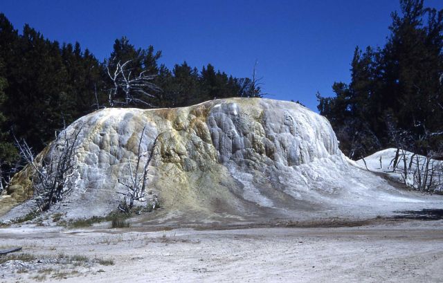 Orange Spring Mound - Mammoth Hot Springs Picture