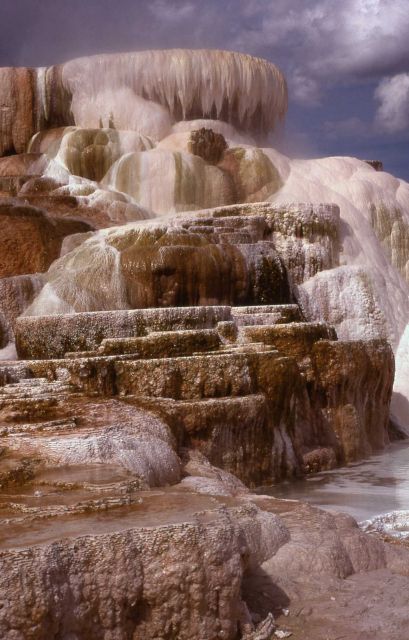 Minerva Terrace - Mammoth Hot Springs Picture