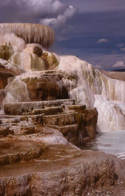 Minerva Terrace - Mammoth Hot Springs Picture