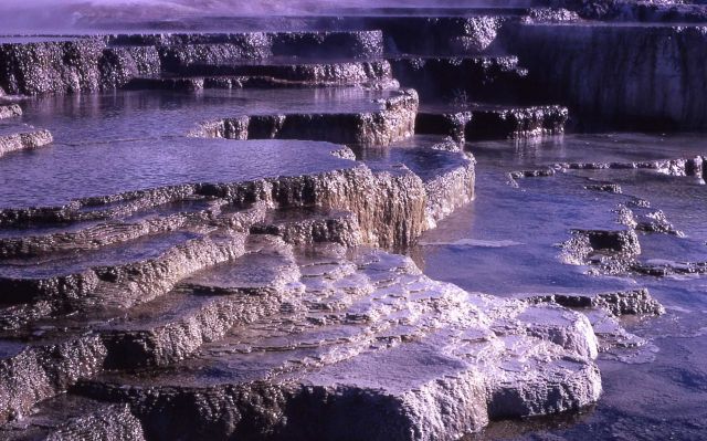 Opal Terrace - Mammoth Hot Springs Picture