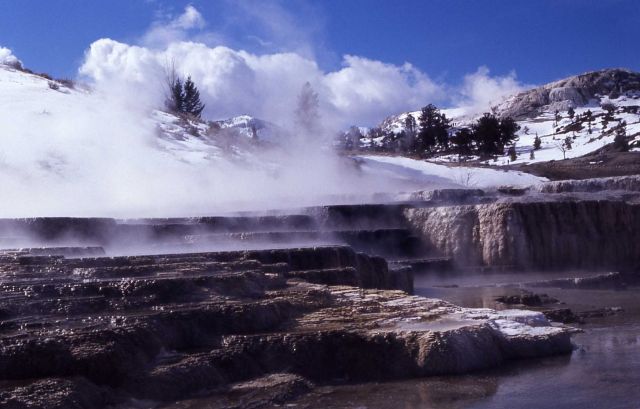 Opal Terrace - Mammoth Hot Springs Picture