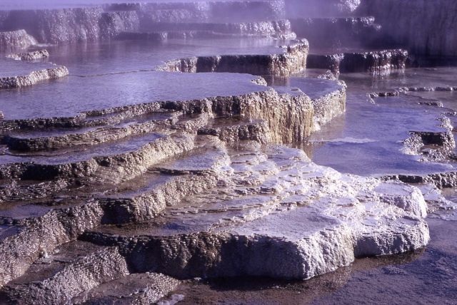 Opal Terrace - Mammoth Hot Springs Picture