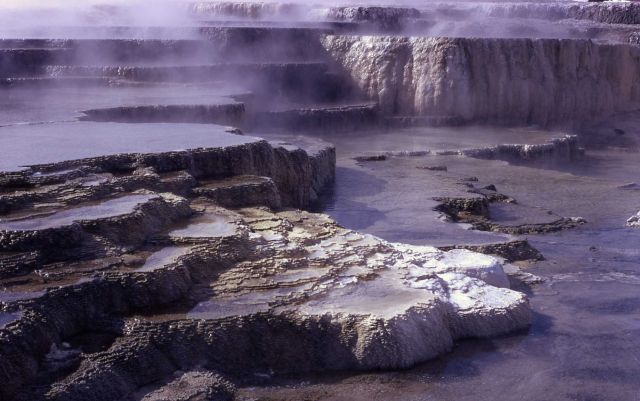 Opal Terrace - Mammoth Hot Springs Picture