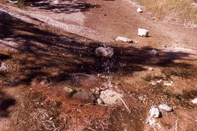 Spouter near Devil's Kitchen - Mammoth Hot Springs Picture