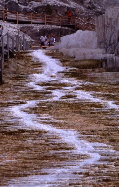 Minerva run off - Mammoth Hot Springs Picture