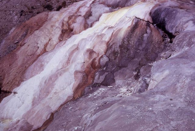 Cupid Spring - Mammoth Hot Springs Picture