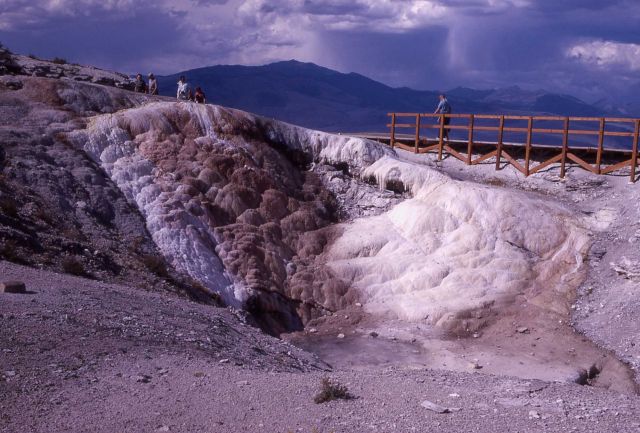 Cupid Spring - Mammoth Hot Springs Picture