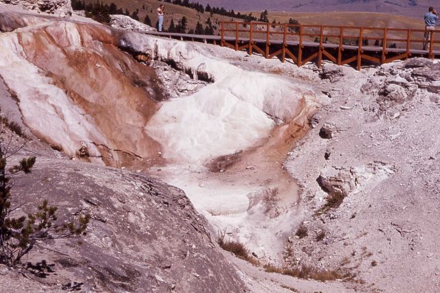 Cupid Spring - Mammoth Hot Springs Picture