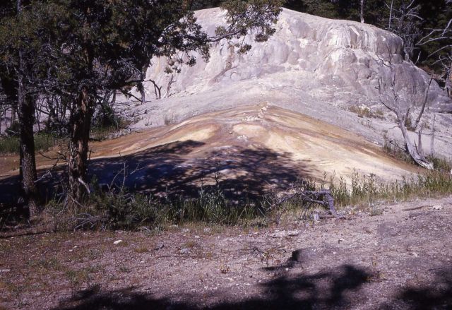 Near Orange Spring Mound - Mammoth Hot Springs Picture