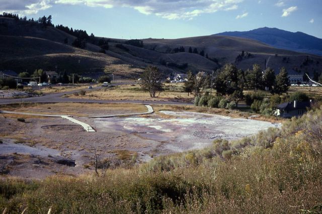 Opal Terrace - Mammoth Hot Springs Picture