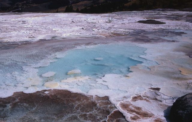 Blue Spring on the Main Terrace - Mammoth Hot Springs Picture