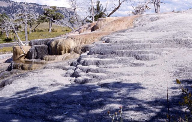 Cavern Spring - Mammoth Hot Springs Picture
