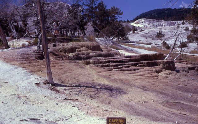 Cavern Spring - Mammoth Hot Springs Picture