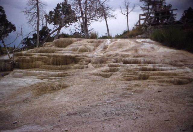 Cavern Spring - Mammoth Hot Springs Picture