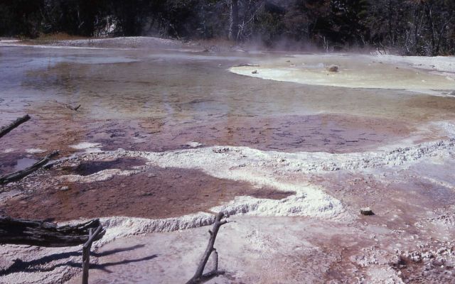 Upper Terraces above Cedar Spring - Mammoth Hot Springs Picture