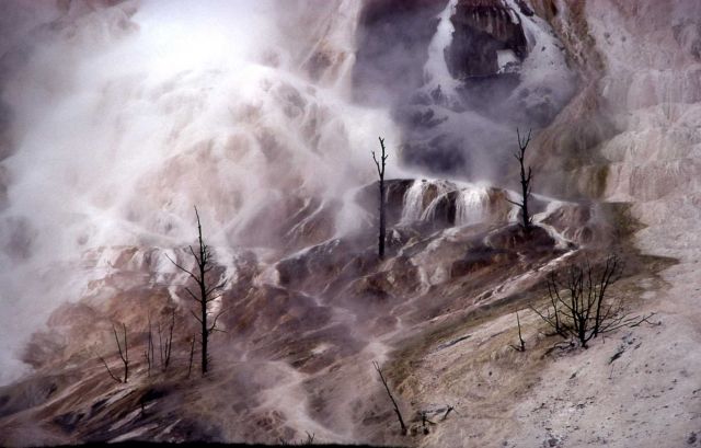 Mammoth Hot Springs Picture